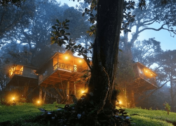 luxury resorts in Kerala